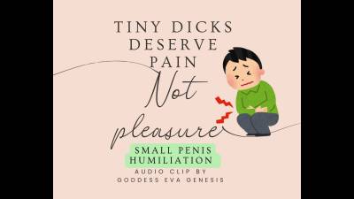 Tiny Dicks Deserve Pain, Not Pleasure