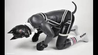 "Good Pet Training Session - Pet Play Obedience Audio "