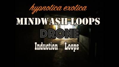 **** Loops Drone Induction Loops