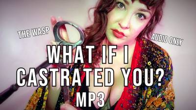 What If I Castrated You? Mp3