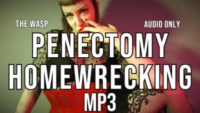 Penectomy Homewreck Mp3
