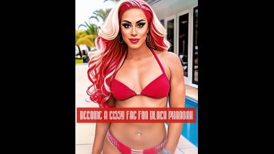 Become An 4Th Of July Sissy