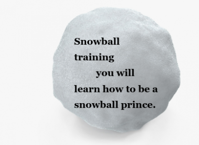 Snowball Training CEI