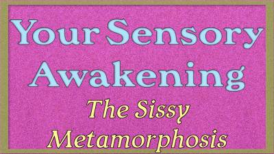 Your Sensory Awakening