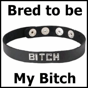Breeding Files