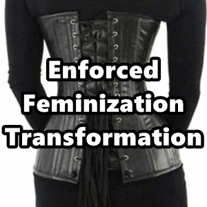 Feminization Transformation (Mp3)