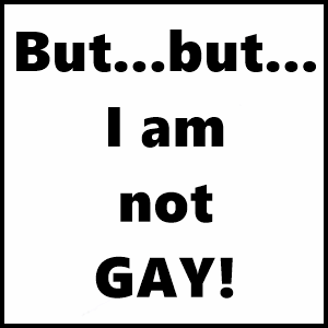 Making You Gay (Mp3)