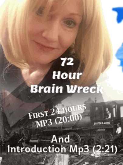 72 Hour Brain Wreck Mp3 (20:00)