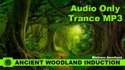 Ancient Woodland Induction Relaxation ****