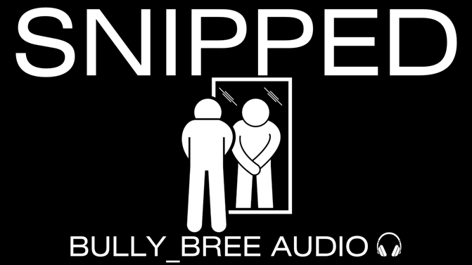Snipped (Custom) Audio