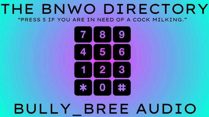 The Bnwo Directory Audio