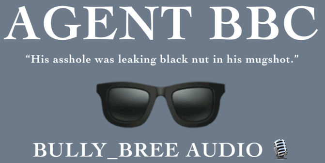 Agent BBC Audio