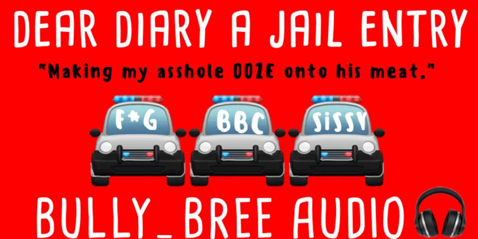 Dear Diary (A Jail Entry)