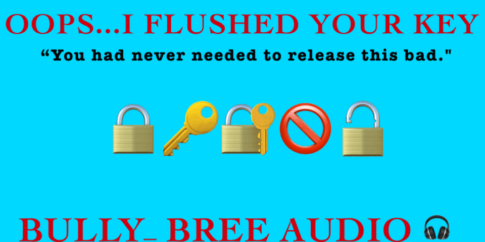 Oops I Flushed Your Key Audio