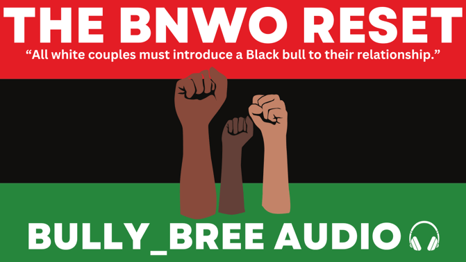 Bnwo The Reset