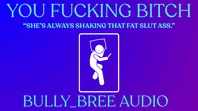 You Fucking Bitch Audio