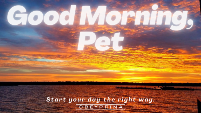 Good Morning, Pet (MP3)