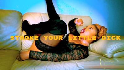 Audio: Stroke Your Tiny Penis