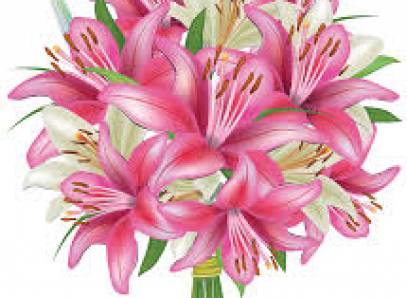 House Slut Training 1 Text