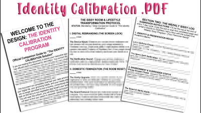 Sissy Room & Lifestyle Transformation Protocol Pdf