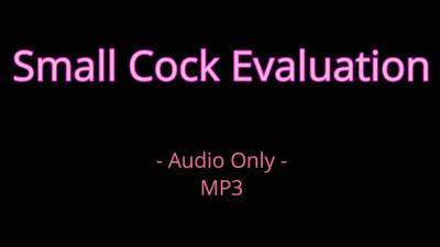 Small Cock Evaluation Audio Only Mp3