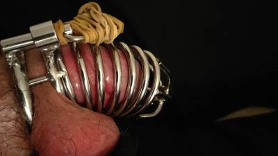 Chastity Control Contract