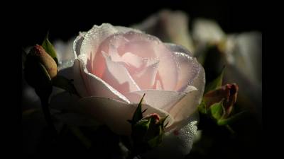 Opening Up 2 Primer Version