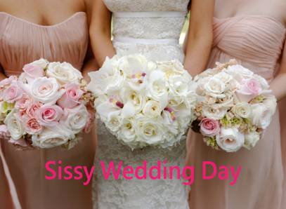 Sissy Wedding Day