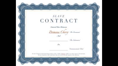 Slave Contract With Prrincess Cherry