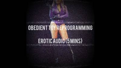 Obedient Toy Re-Programming Mp3 Audio
