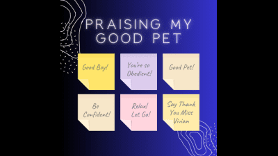 Praising My Good Pet-The Gentle Domme-Praise Kink-Collaring-Gentle Femdom
