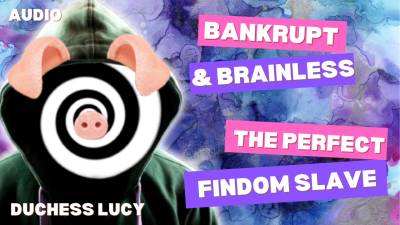 Bankrupt & Brainless: The Perfect Findom Slave Audio Minduck Duchess Lucy Ruins You