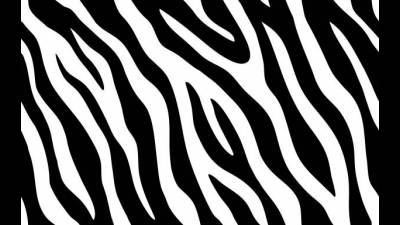Tiger Stripes