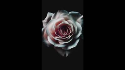 Relaxing At The Pool