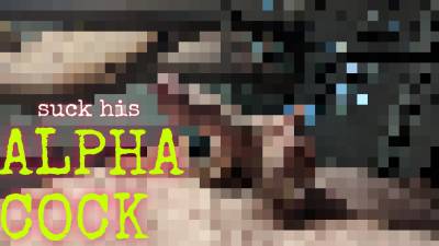 Suck His Alpha Cock