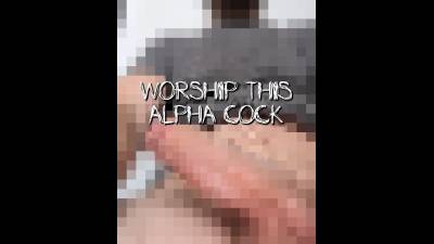 Worship My Superior Alpha Cock