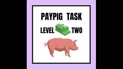 Paypig Task Level 2