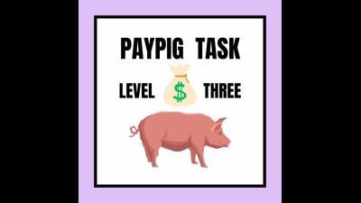 Paypig Task Level 3