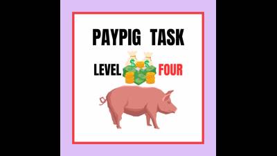 Paypig Task Level 4