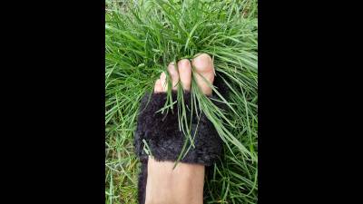 Long Toenails