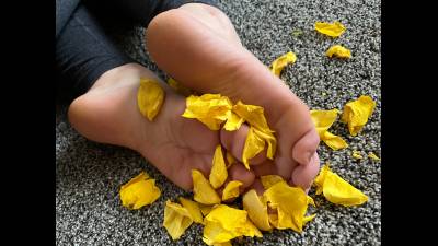 Feet And Petals