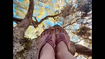 Feet With Wood