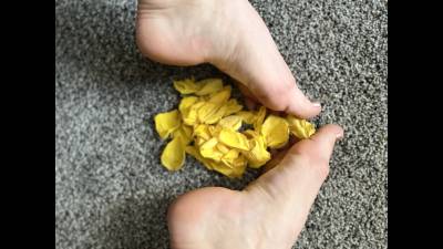 Petals By My Feet