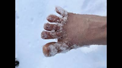 Clod Little Toes