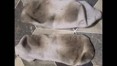 Yours To Own, 5 Day Worn Socks