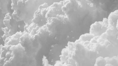 Freshly Painted Toes