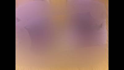 Lavender Slipper Toes