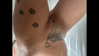 Kitty Kitty
