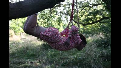 Dangling In The Forest