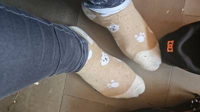 Sweaty Socks
